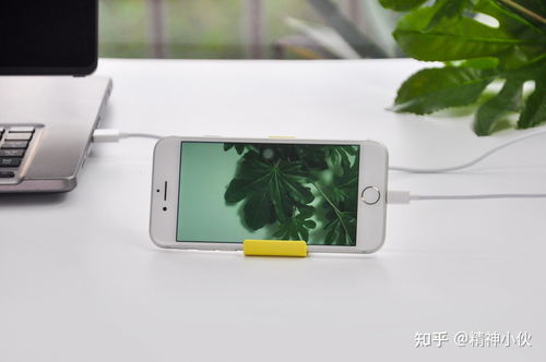 2021年蘋果產(chǎn)品選購指南 iPhone、iPad、iWatch、AirPods全方位解析及軟件設(shè)計(jì)開發(fā)推薦